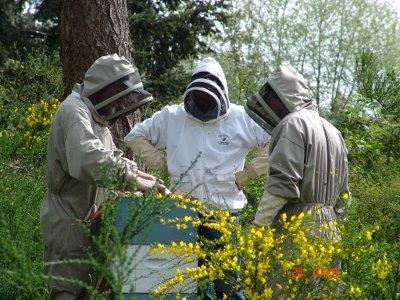 beekeepers at Flying Dutchman checking hives