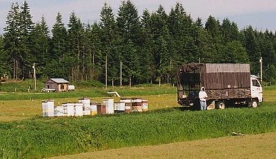 We went from being the proud owner of about 50 hives to over 200 hives and started our first year providing hives for Commercial Pollination.